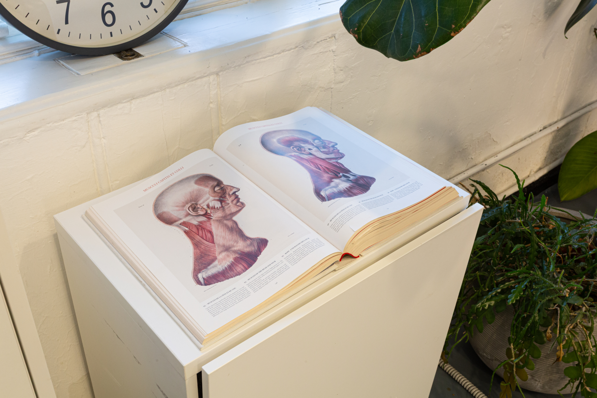 Marco's facial anatomy book, open in his aesthetic studio in Shoreditch, London